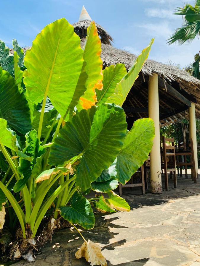 Ltorec Nyali Beach Exterior photo